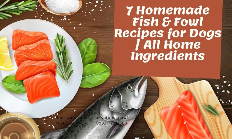 homemade-dog-food-recipes-with-fish-5-recipes-avid-pup