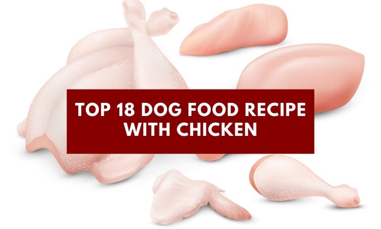 Top 18 Best Dog Food Recipe with Chicken (Homemade) - DogTipsy