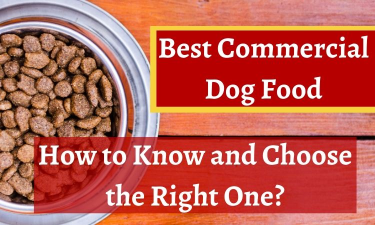 best commercial dog food